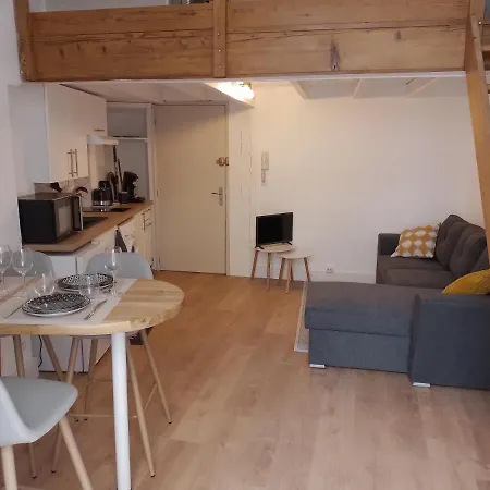 Mezzanine Hyper Centre, Au Pied Du Castillet Apartament Perpignan